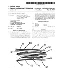 Intraluminal Stent Graft diagram and image