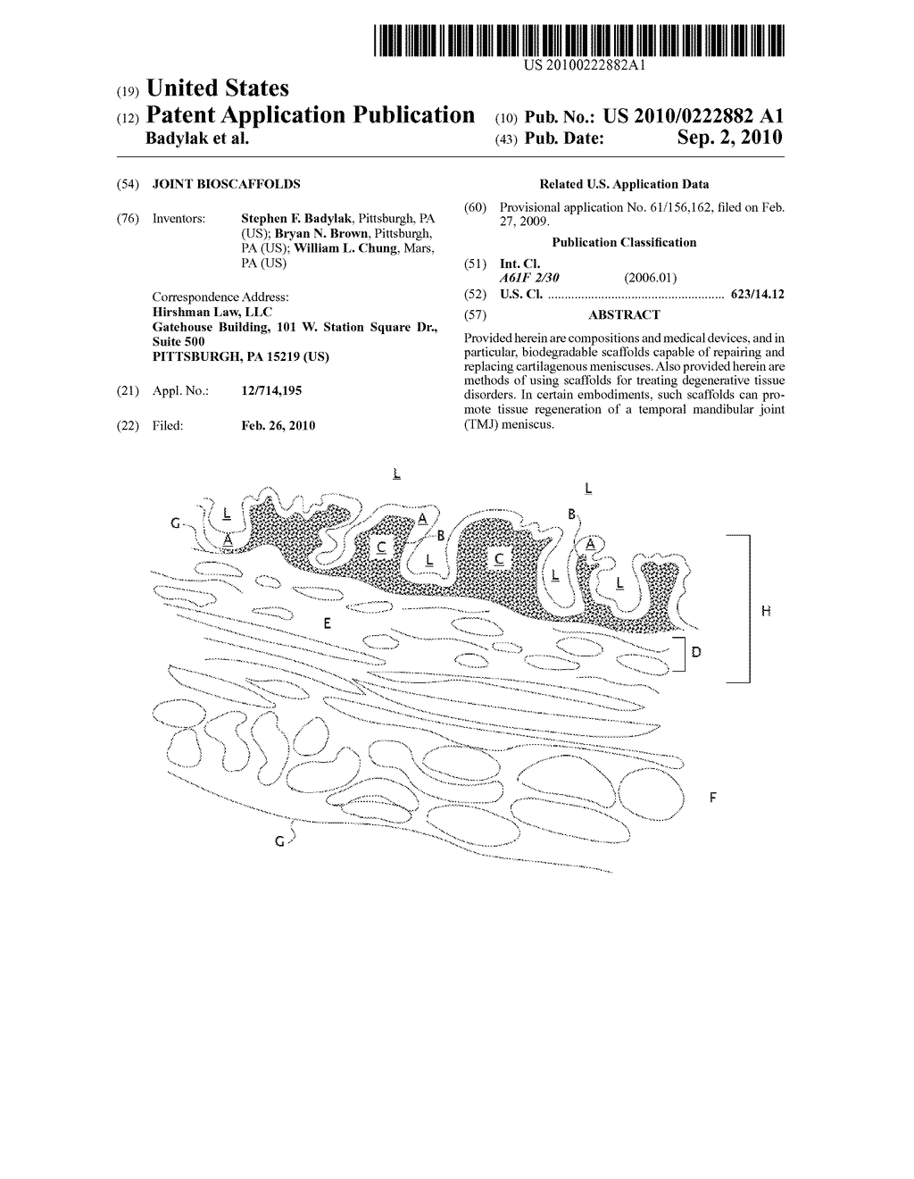 JOINT BIOSCAFFOLDS - diagram, schematic, and image 01