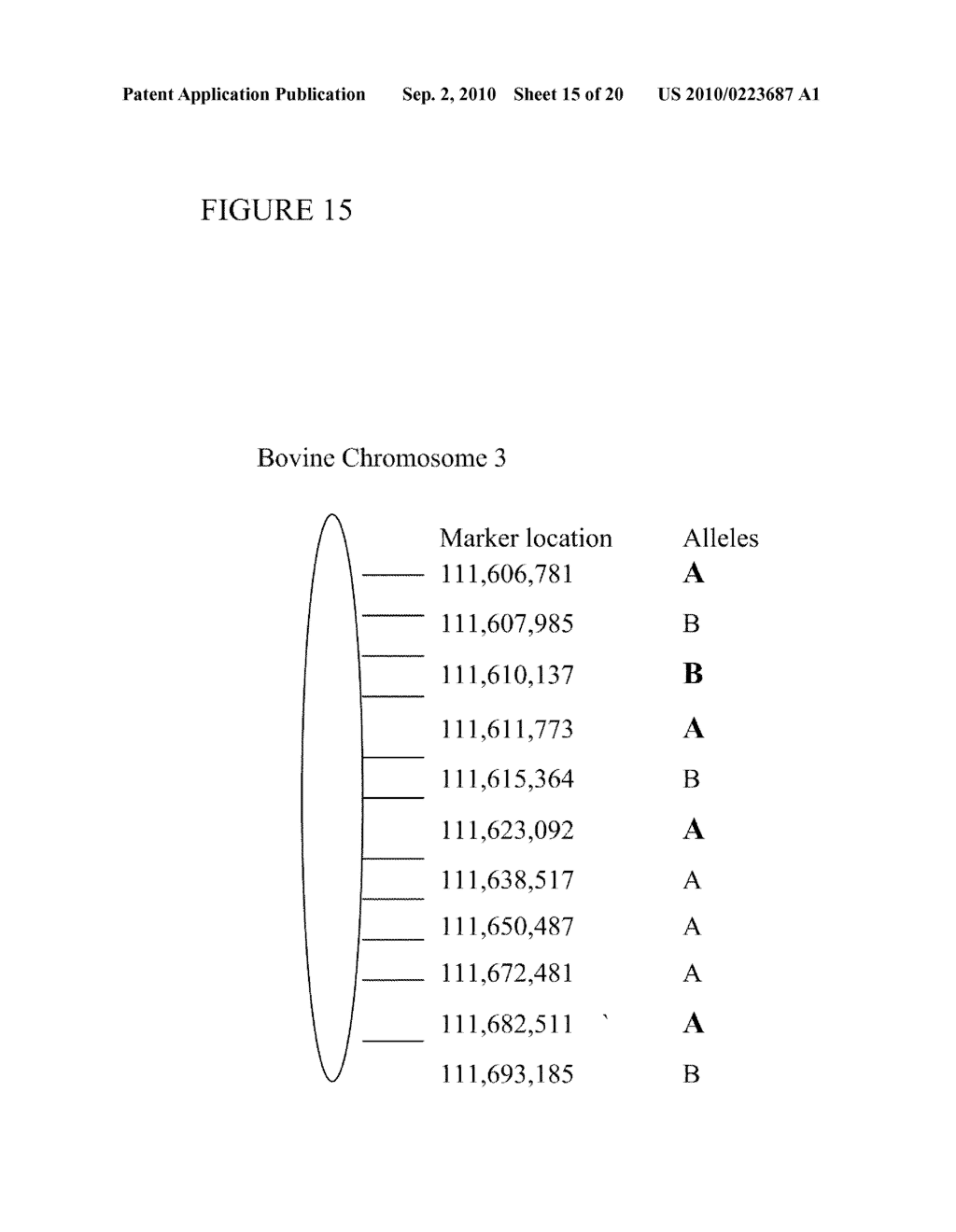 COMPOSITIONS AND METHODS FOR DIAGNOSIS OF GENETIC SUSCEPTIBILITY, RESISTANCE, OR TOLERANCE TO INFECTION BY MYCOBACTERIA AND BOVINE PARATUBERCULOSIS - diagram, schematic, and image 16