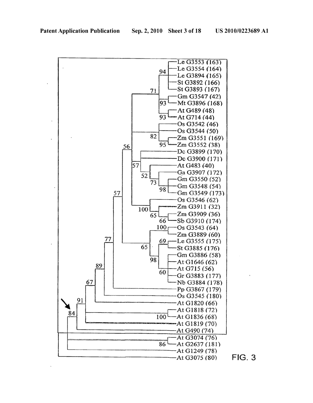 PLANTS WITH ENHANCED SIZE AND GROWTH RATE - diagram, schematic, and image 04