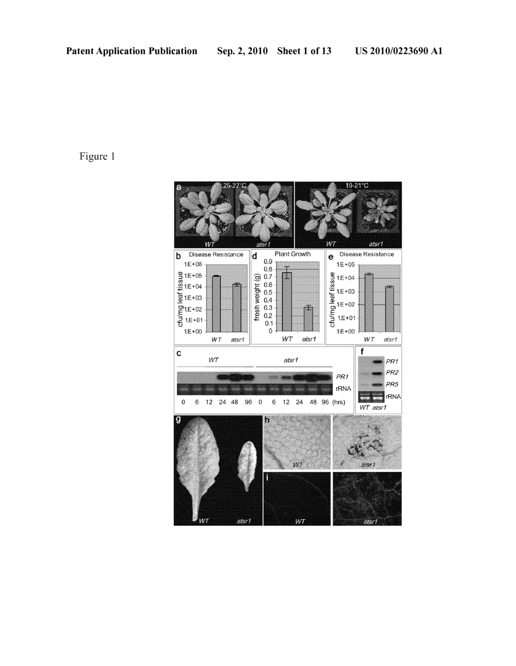 COMPOSITIONS AND METHODS FOR MODULATING PLANT DISEASE RESISTANCE AND IMMUNITY - diagram, schematic, and image 02