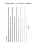 METHODS OF USING PLANTS CONTAINING THE GDHA GENE diagram and image