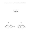 Eyelash Curler diagram and image