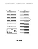 FLUID CONTROL STRUCTURES IN MICROFLUIDIC DEVICES diagram and image