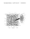 Membrane Module for Fluid Filtration diagram and image