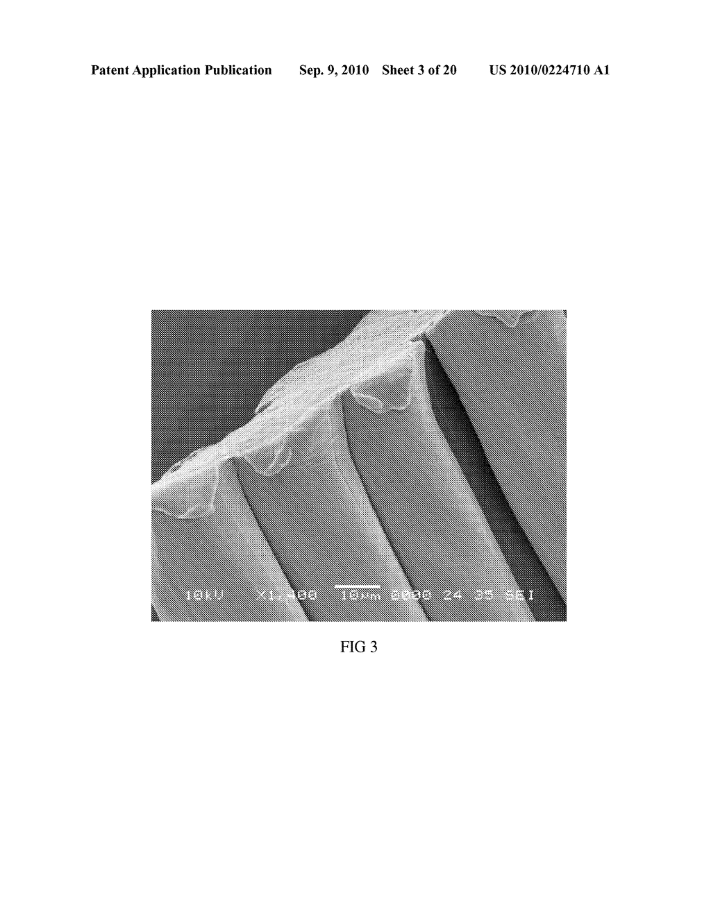 METHOD OF MAKING HYDROPHILIC FLUOROPOLYMER MATERIAL - diagram, schematic, and image 04