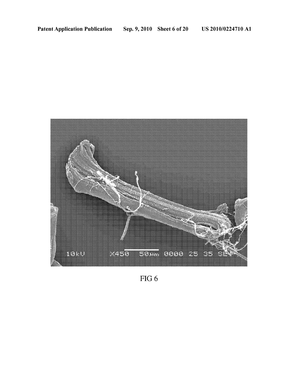 METHOD OF MAKING HYDROPHILIC FLUOROPOLYMER MATERIAL - diagram, schematic, and image 07