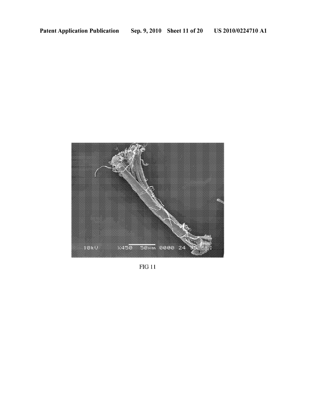 METHOD OF MAKING HYDROPHILIC FLUOROPOLYMER MATERIAL - diagram, schematic, and image 12