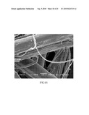 METHOD OF MAKING HYDROPHILIC FLUOROPOLYMER MATERIAL diagram and image