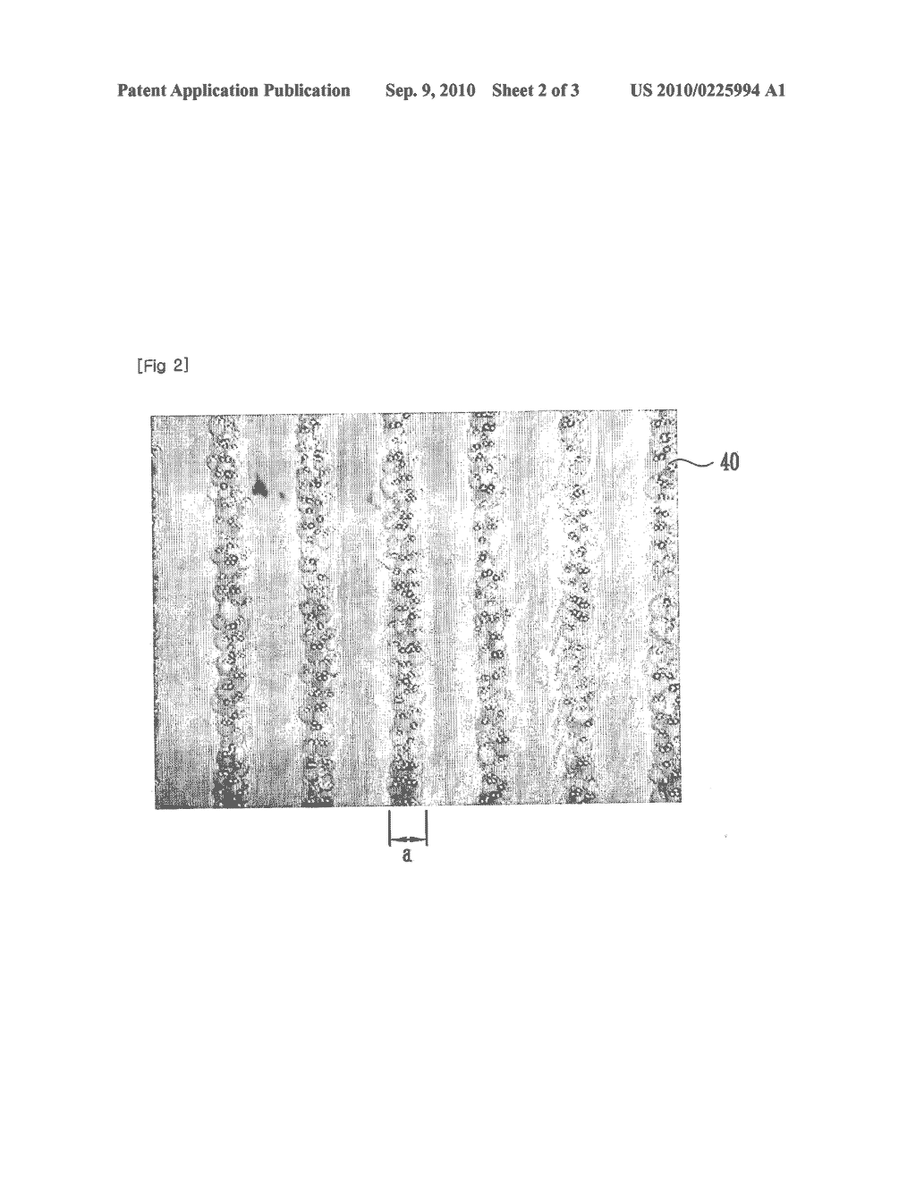 MICROCAPSULE PATTERNING METHOD - diagram, schematic, and image 03