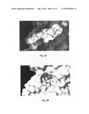 Fluorine-18 derivatives of dasatinib and uses thereof diagram and image