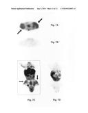 Fluorine-18 derivatives of dasatinib and uses thereof diagram and image