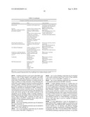 MHC Peptide Complexes and Uses Thereof in Infectious Diseases diagram and image