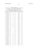 MHC Peptide Complexes and Uses Thereof in Infectious Diseases diagram and image