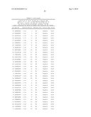 MHC Peptide Complexes and Uses Thereof in Infectious Diseases diagram and image