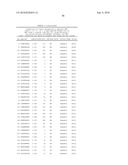 MHC Peptide Complexes and Uses Thereof in Infectious Diseases diagram and image