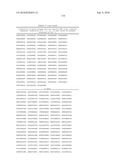 MHC Peptide Complexes and Uses Thereof in Infectious Diseases diagram and image