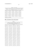 MHC Peptide Complexes and Uses Thereof in Infectious Diseases diagram and image