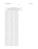 MHC Peptide Complexes and Uses Thereof in Infectious Diseases diagram and image