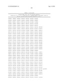 MHC Peptide Complexes and Uses Thereof in Infectious Diseases diagram and image