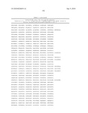 MHC Peptide Complexes and Uses Thereof in Infectious Diseases diagram and image