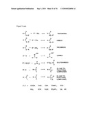 MHC Peptide Complexes and Uses Thereof in Infectious Diseases diagram and image