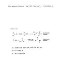 MHC Peptide Complexes and Uses Thereof in Infectious Diseases diagram and image