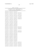 MHC Peptide Complexes and Uses Thereof in Infectious Diseases diagram and image