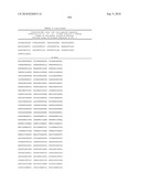 MHC Peptide Complexes and Uses Thereof in Infectious Diseases diagram and image