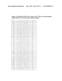 MHC Peptide Complexes and Uses Thereof in Infectious Diseases diagram and image