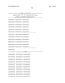 MHC Peptide Complexes and Uses Thereof in Infectious Diseases diagram and image