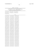 MHC Peptide Complexes and Uses Thereof in Infectious Diseases diagram and image