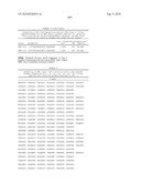 MHC Peptide Complexes and Uses Thereof in Infectious Diseases diagram and image