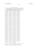 MHC Peptide Complexes and Uses Thereof in Infectious Diseases diagram and image