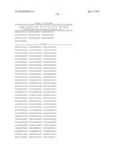 MHC Peptide Complexes and Uses Thereof in Infectious Diseases diagram and image