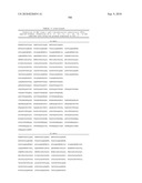 MHC Peptide Complexes and Uses Thereof in Infectious Diseases diagram and image