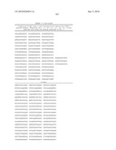 MHC Peptide Complexes and Uses Thereof in Infectious Diseases diagram and image