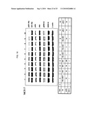 Novel Class of Monospecific and Bispecific Humanized Antibodies that Target the Insulin-like Growth Factor Type I Receptor (IGF-1R) diagram and image