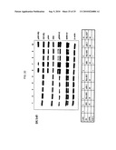 Novel Class of Monospecific and Bispecific Humanized Antibodies that Target the Insulin-like Growth Factor Type I Receptor (IGF-1R) diagram and image