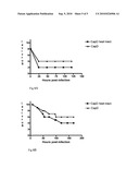 Recombinant poly-glutamic acid depolymerases diagram and image