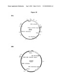 COMPOSITIONS AND METHODS FOR TREATING OCULAR DISEASES AND CONDITIONS diagram and image