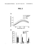 Direct Oxidation of Calcium/Calmodulin Dependent Protein Kinase II and Associated Diagnostic and Therapeutic Methods diagram and image