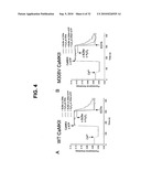 Direct Oxidation of Calcium/Calmodulin Dependent Protein Kinase II and Associated Diagnostic and Therapeutic Methods diagram and image