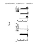 Direct Oxidation of Calcium/Calmodulin Dependent Protein Kinase II and Associated Diagnostic and Therapeutic Methods diagram and image