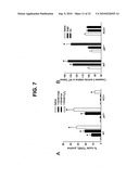 Direct Oxidation of Calcium/Calmodulin Dependent Protein Kinase II and Associated Diagnostic and Therapeutic Methods diagram and image