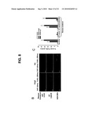 Direct Oxidation of Calcium/Calmodulin Dependent Protein Kinase II and Associated Diagnostic and Therapeutic Methods diagram and image