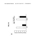 Direct Oxidation of Calcium/Calmodulin Dependent Protein Kinase II and Associated Diagnostic and Therapeutic Methods diagram and image