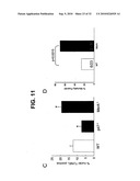 Direct Oxidation of Calcium/Calmodulin Dependent Protein Kinase II and Associated Diagnostic and Therapeutic Methods diagram and image