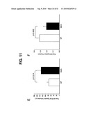 Direct Oxidation of Calcium/Calmodulin Dependent Protein Kinase II and Associated Diagnostic and Therapeutic Methods diagram and image