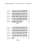 CIRCOVIRUS SEQUENCES ASSOCIATED WITH PIGLET WEIGHT LOSS DISEASE (PWD) diagram and image